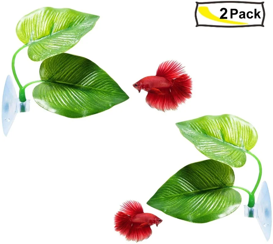 Amaca a foglia di pesce Betta  - Planted Aquarium For Betta recensione e prezzo