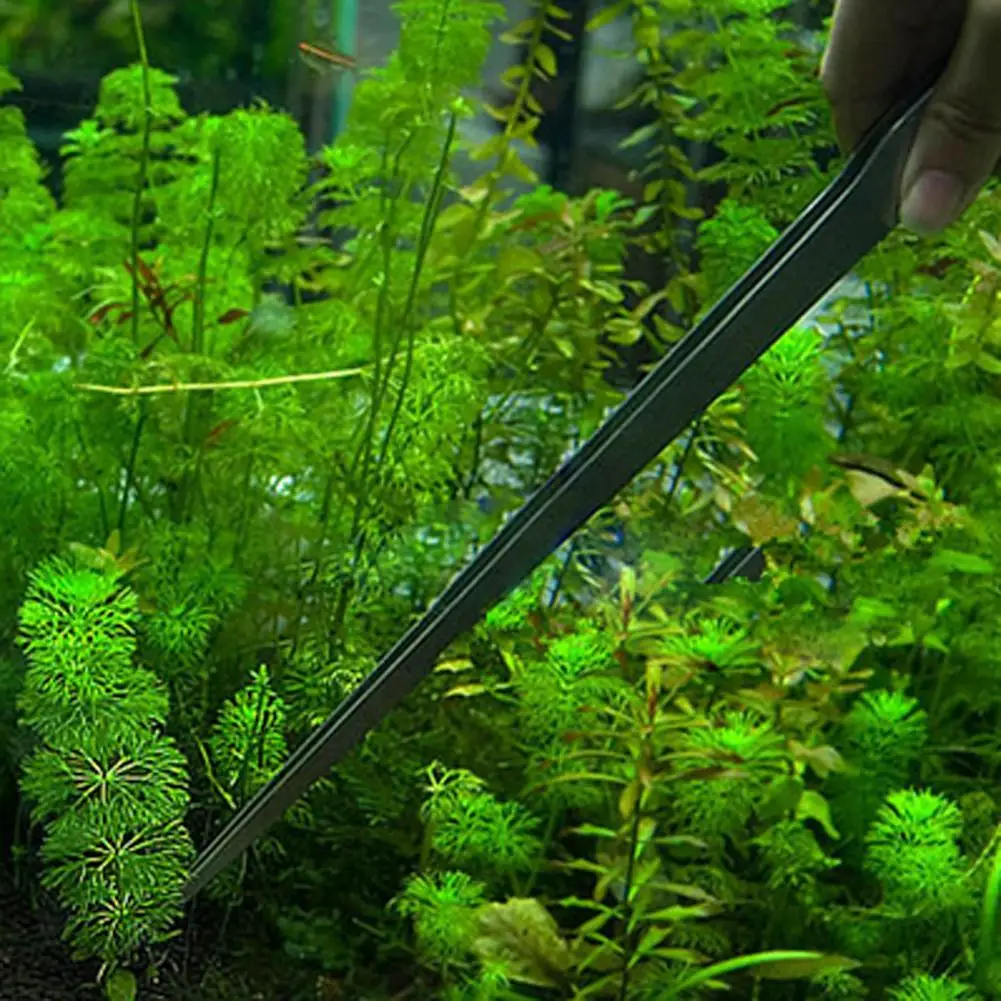 Universale 27CM acquario piant - Planted Aquarium Maintenance recensione e prezzo