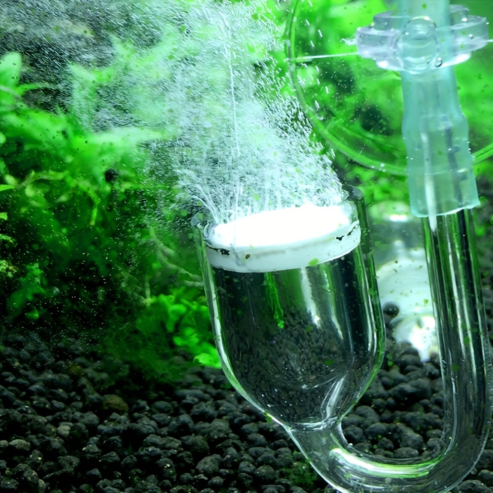 Acquario Vetro CO2 Atomizzator - Planted Aquarium Equipment recensione e prezzo
