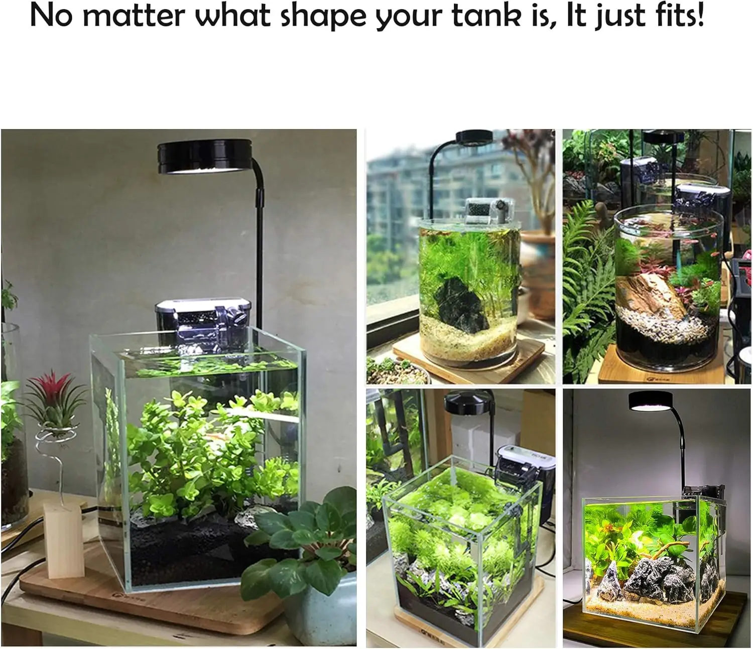 Acquario a LED coltiva la luce - Planted Aquarium For Betta recensione e prezzo