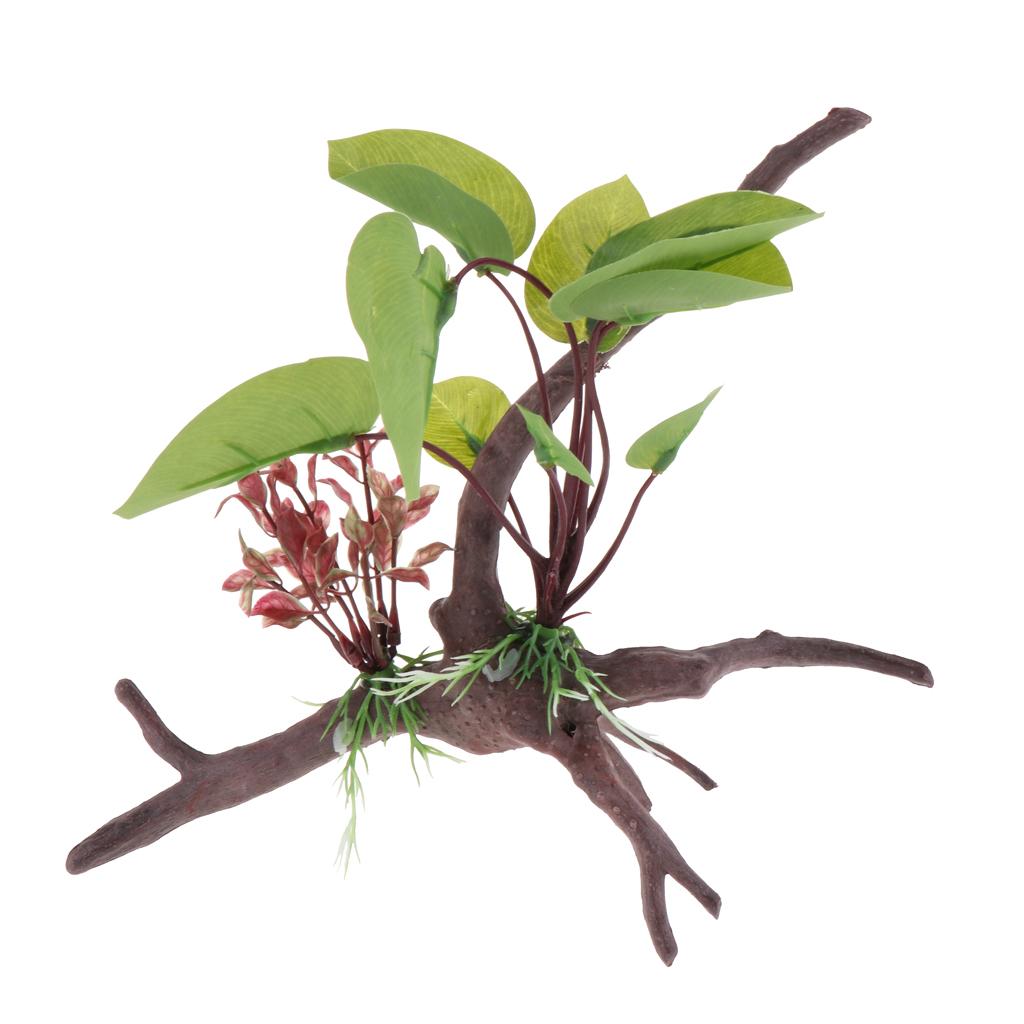 Pianta per terrario per rettil - Aquarium Plant Vine recensione e prezzo