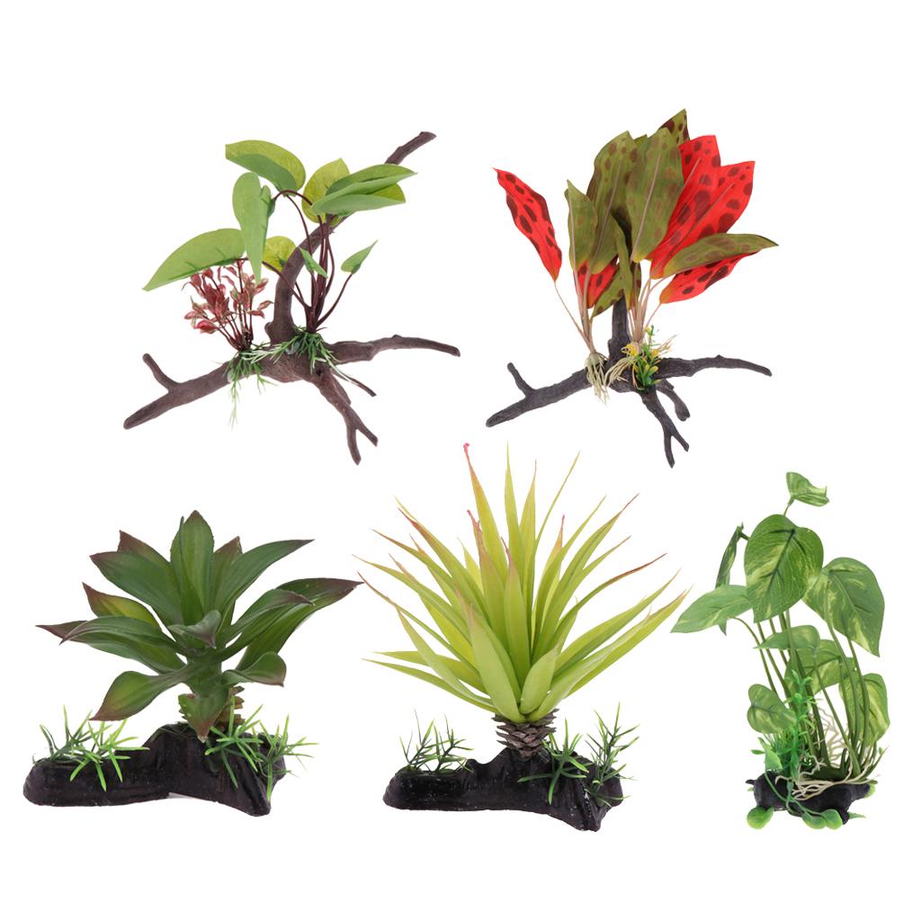 Pianta per terrario per rettil - Aquarium Plant Vine recensione e prezzo