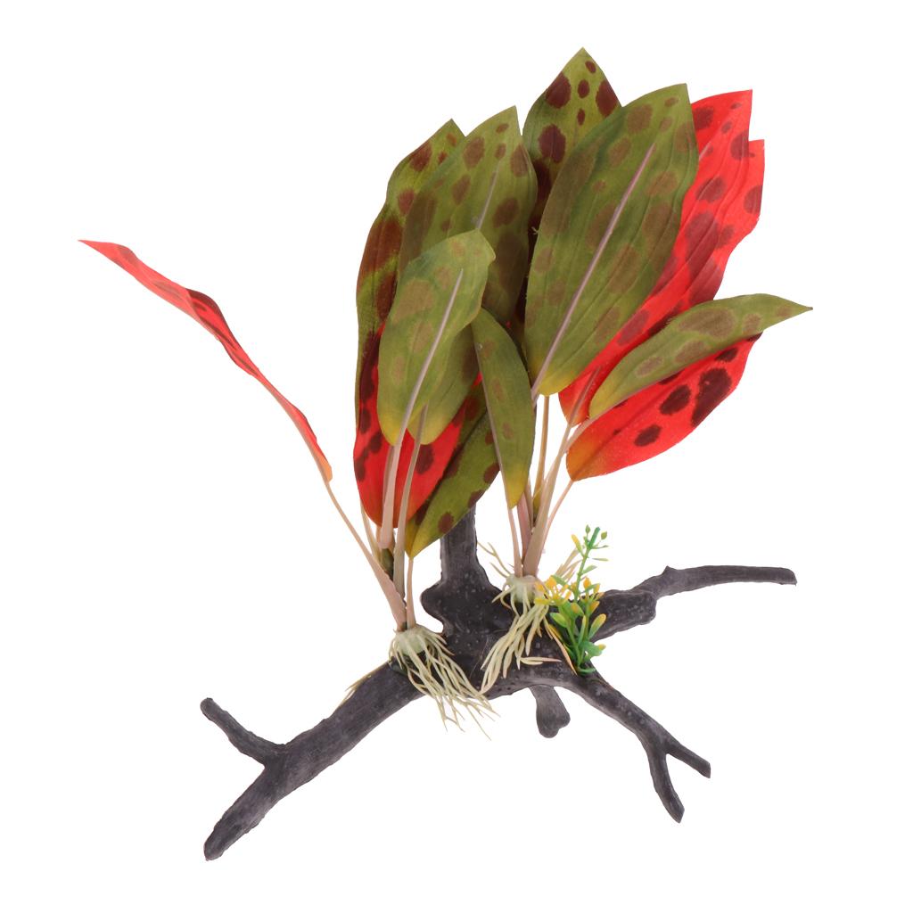 Pianta per terrario per rettil - Aquarium Plant Vine recensione e prezzo