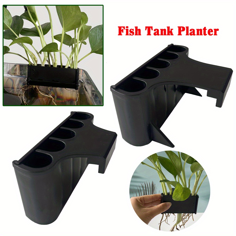 Porta piante per acquario con  - Planted Aquarium Maintenance recensione e prezzo