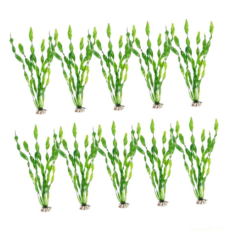 QX2E 10 Pezzi Spirali Pianta A - Planted Aquarium Maintenance recensione e prezzo