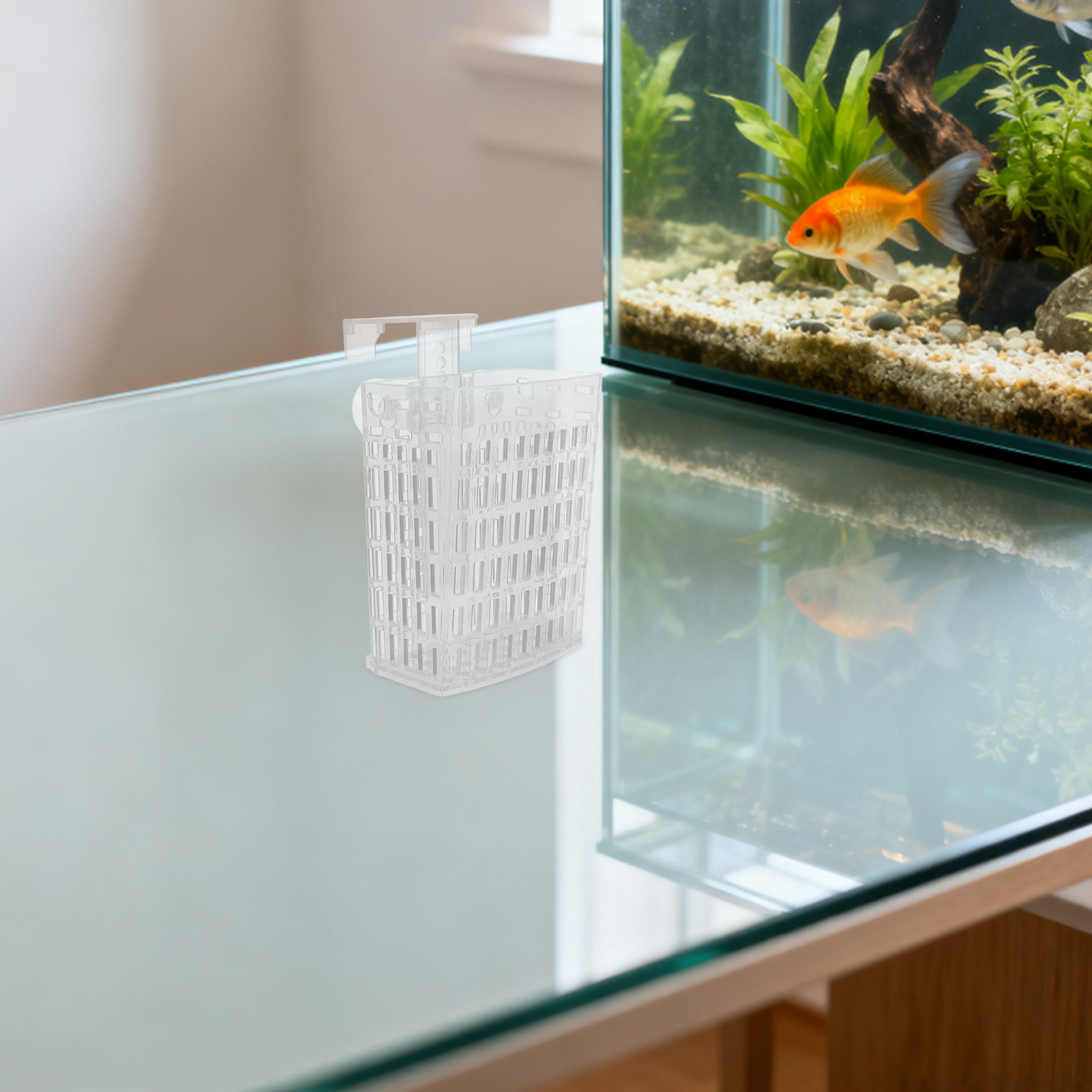 Supporto per Piante Acquatiche - Planted Aquarium With Fish recensione e prezzo