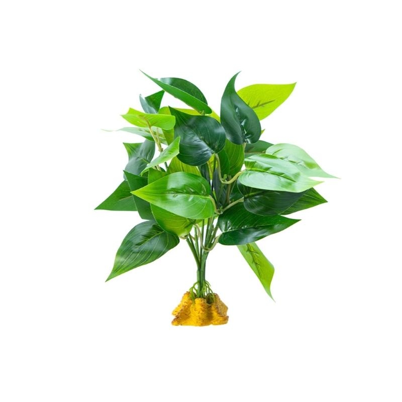 Acquari per piante per piante  - Planted Aquarium With Fish recensione e prezzo