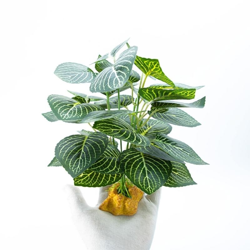 Acquari per piante per piante  - Planted Aquarium With Fish recensione e prezzo