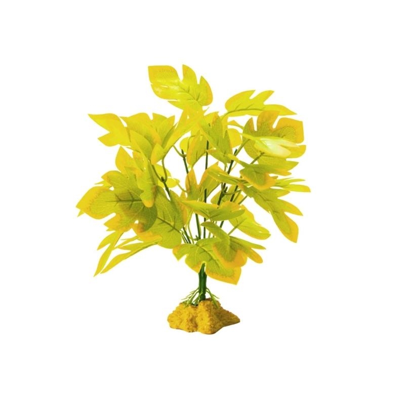 Acquari per piante per piante  - Planted Aquarium With Fish recensione e prezzo