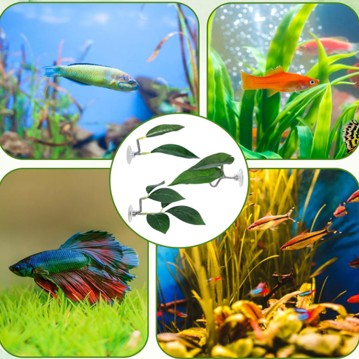 1 Amaca per Pesci Betta, Decor - Planted Aquarium For Betta recensione e prezzo