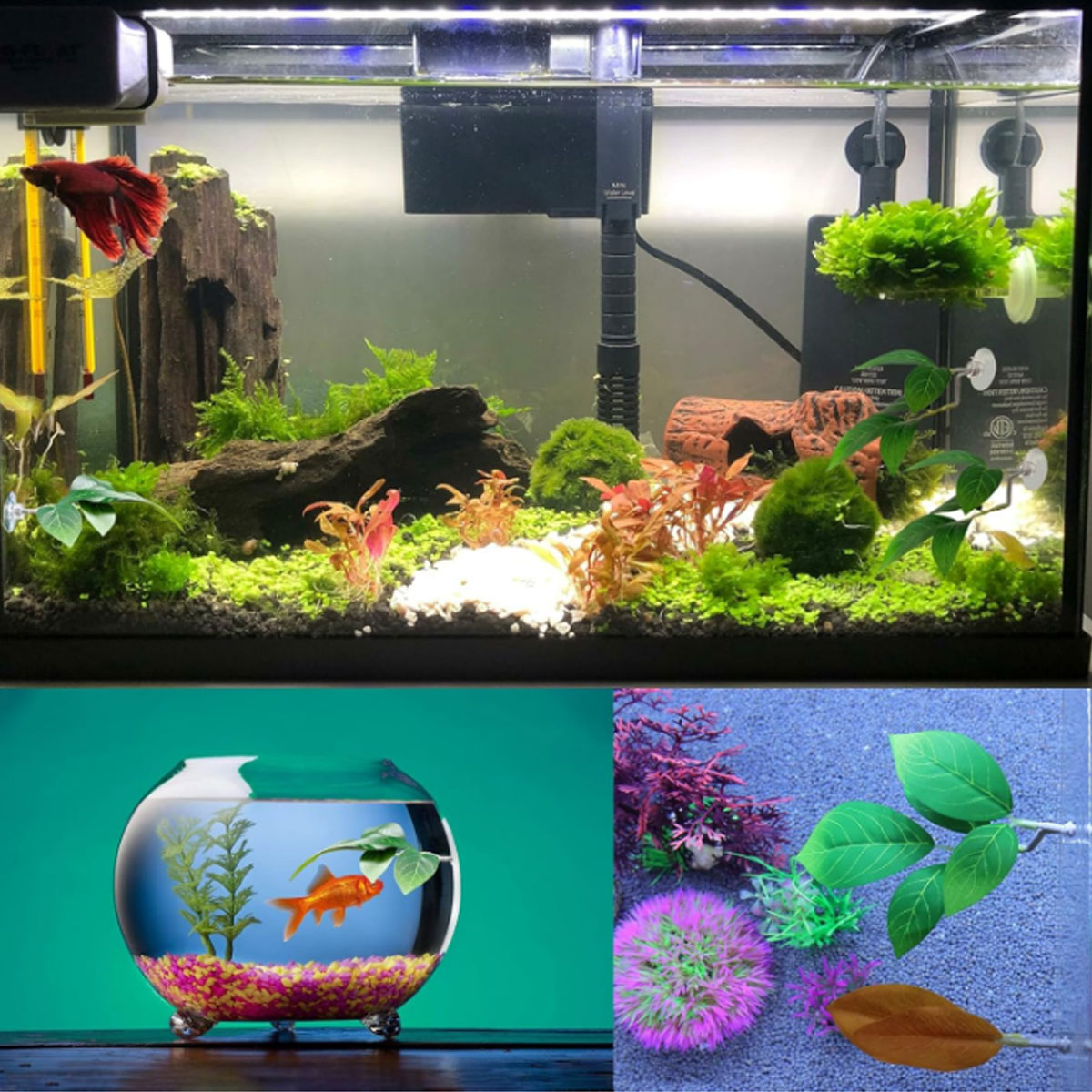 1 Amaca per Pesci Betta, Decor - Planted Aquarium For Betta recensione e prezzo