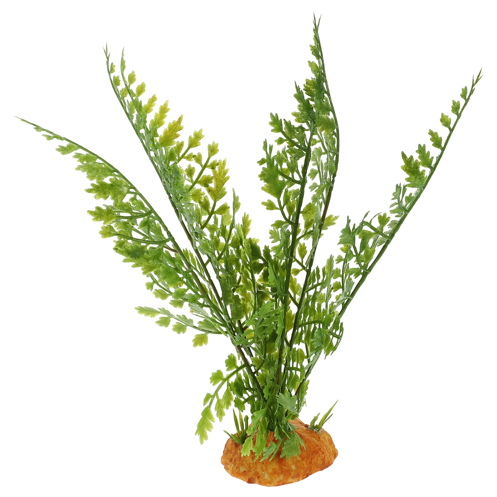 Piante per rettili Terrario Vi - Aquarium Plant Vine recensione e prezzo