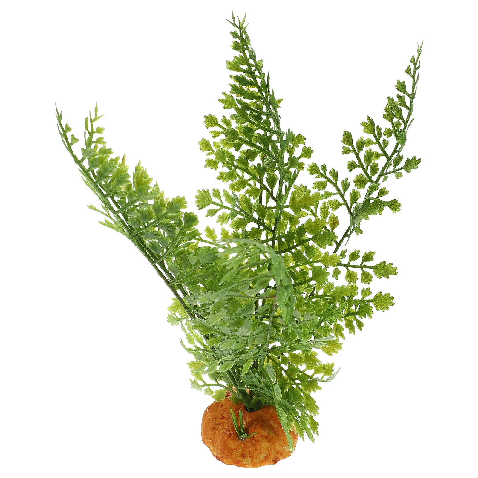 Piante per rettili Terrario Vi - Aquarium Plant Vine recensione e prezzo