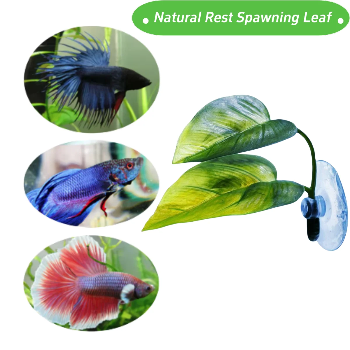 Animali domestici Acquario Dec - Planted Aquarium For Betta recensione e prezzo