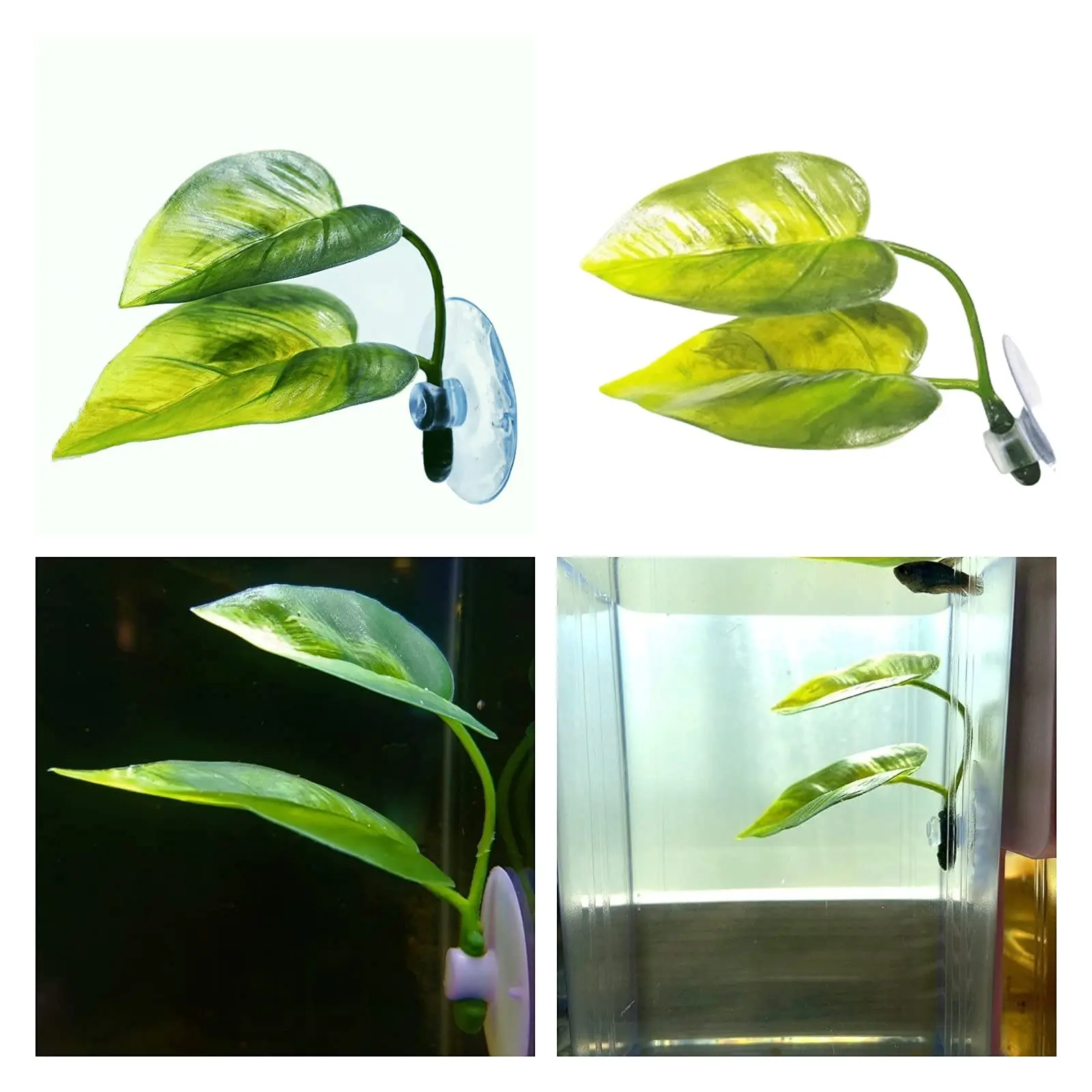 Animali domestici Acquario Dec - Planted Aquarium For Betta recensione e prezzo