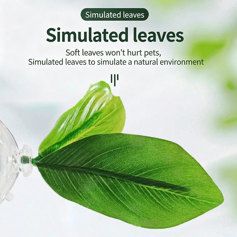 1 Pezzo Amaca per Betta a Fogl - Planted Aquarium For Betta recensione e prezzo