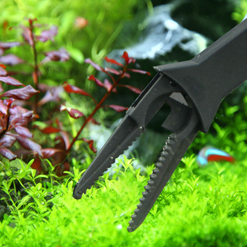 Pinzette per Piante Acquatiche - Planted Aquarium Maintenance recensione e prezzo