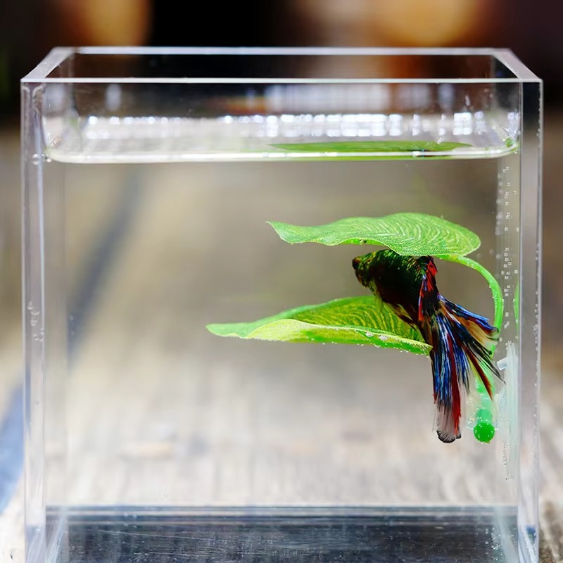Foglie Artificiali Decorative  - Planted Aquarium For Betta recensione e prezzo