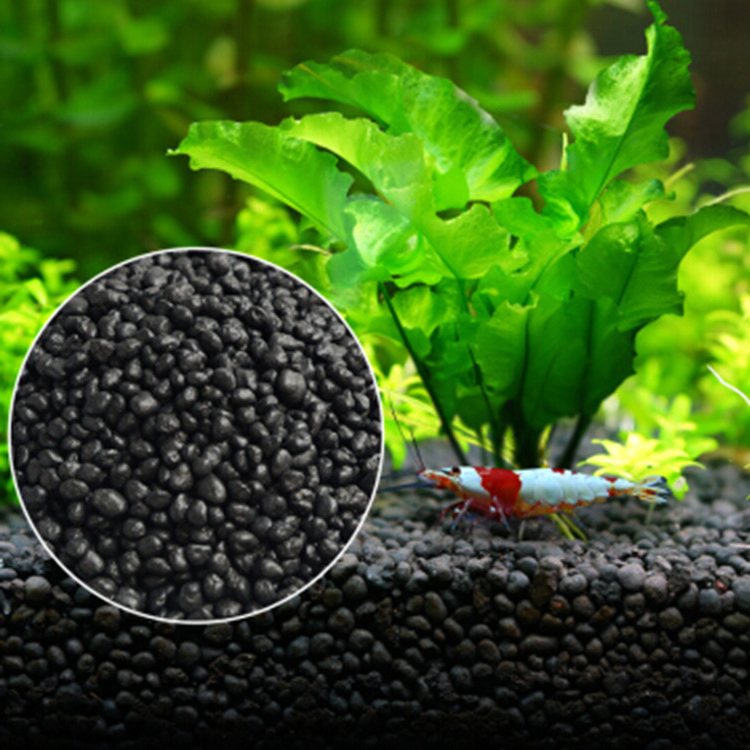 Acquario semi di piante terren - Planted Aquarium Equipment recensione e prezzo