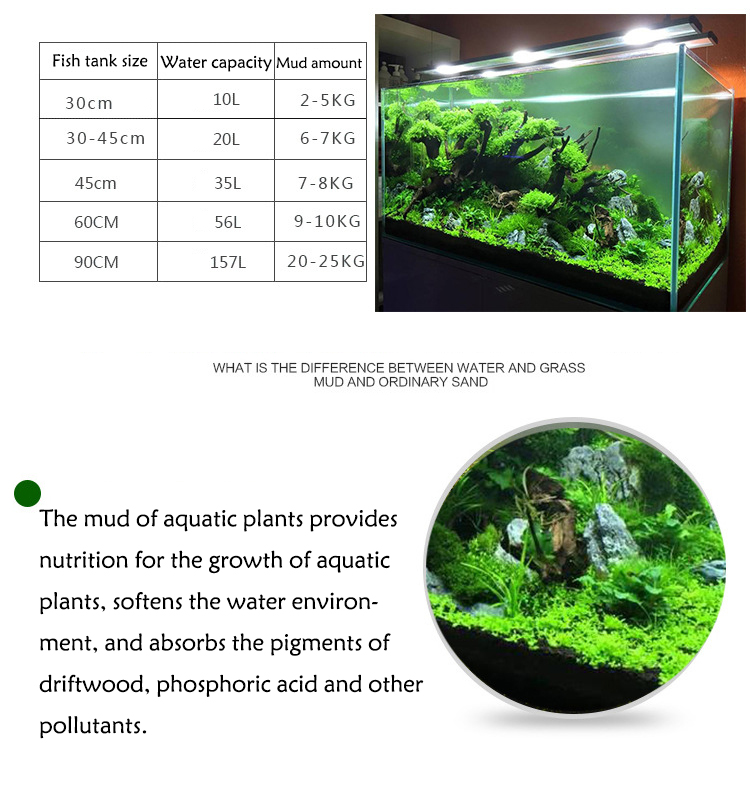 Acquario semi di piante terren - Planted Aquarium Equipment recensione e prezzo