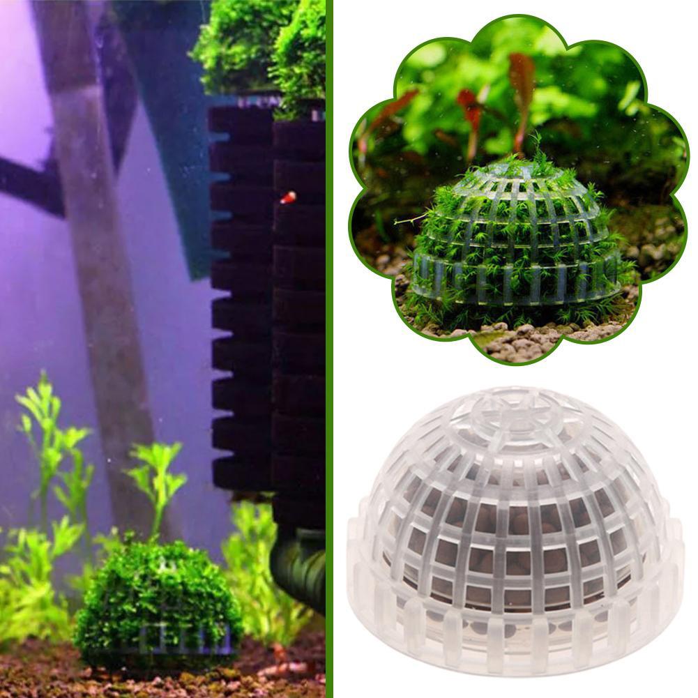 Piante decorative per acquari  - Aquarium Plant Red recensione e prezzo