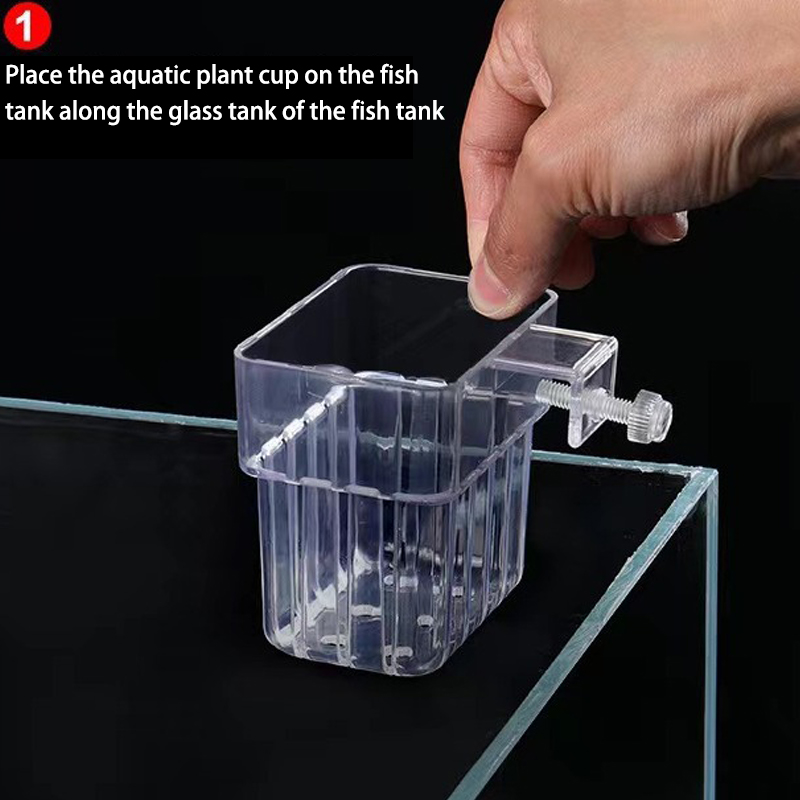 Multifunzionale Fish Aquarium  - Planted Aquarium With Fish recensione e prezzo