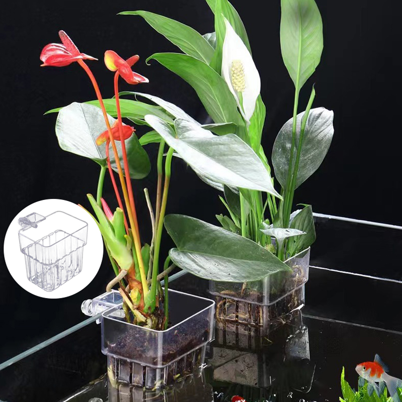 Multifunzionale Fish Aquarium  - Planted Aquarium With Fish recensione e prezzo