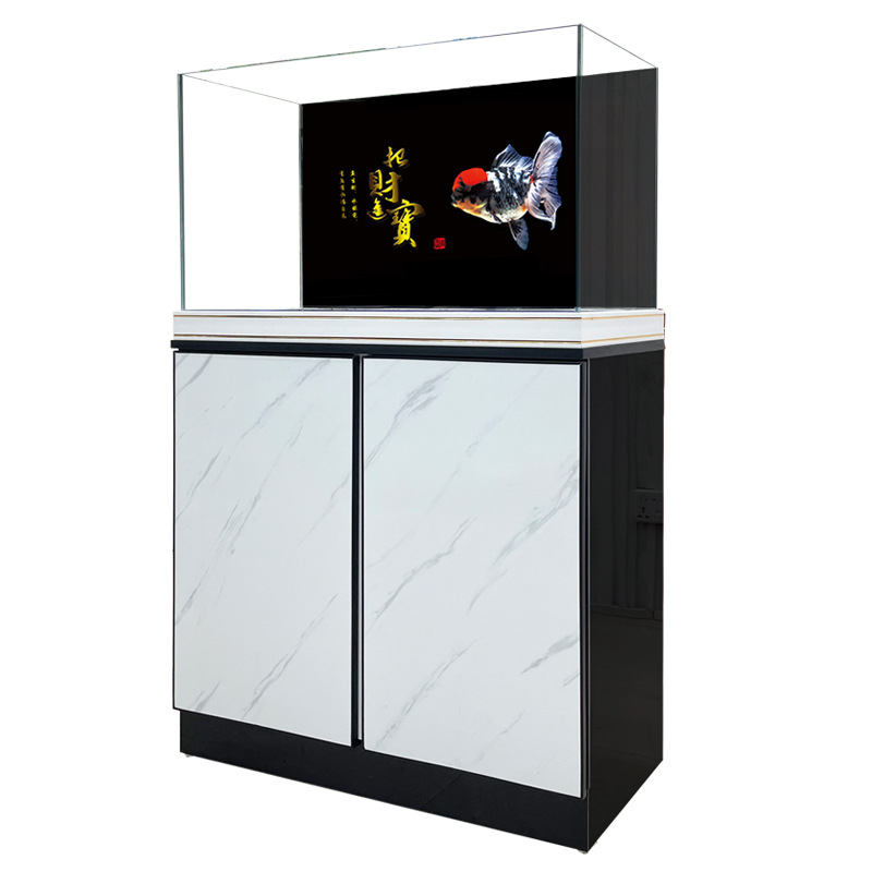 Nuovo acquario in vetro ultra  - Planted Aquarium Maintenance recensione e prezzo