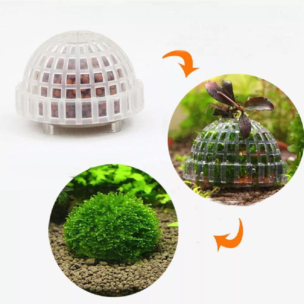 1pc acquatico forniture per an - Planted Aquarium Maintenance recensione e prezzo