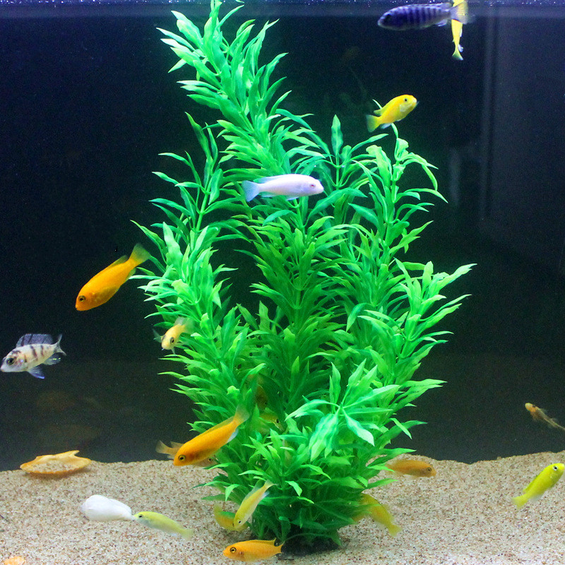 50CM Acquario artificiale Pian - Planted Aquarium Equipment recensione e prezzo