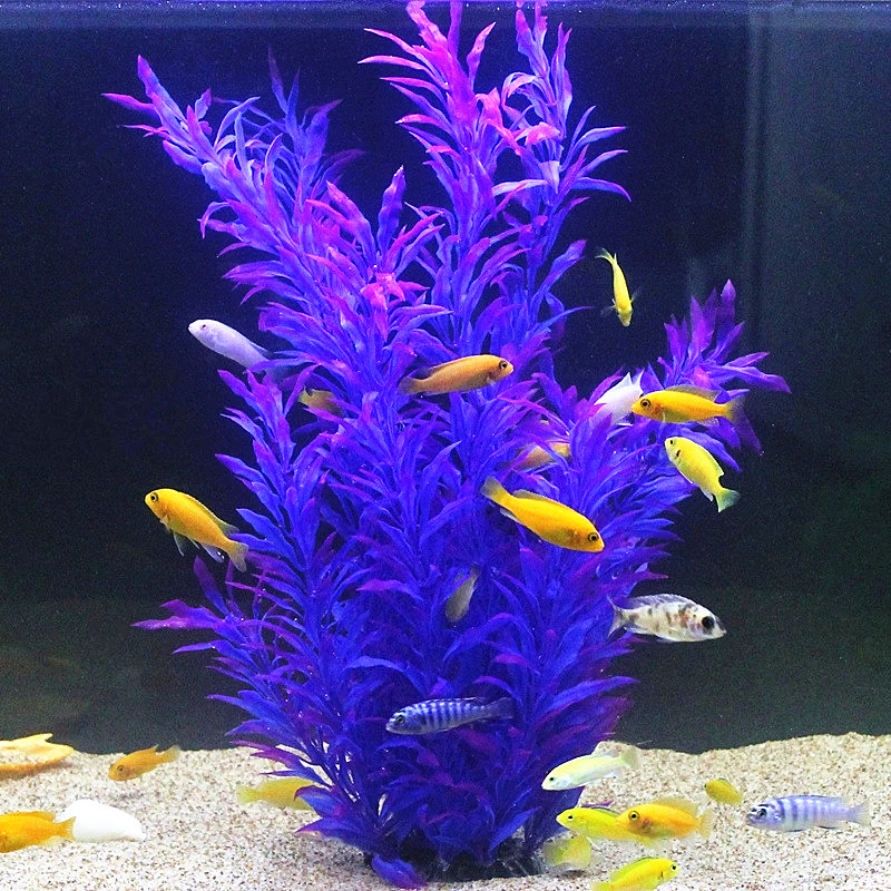 50CM Acquario artificiale Pian - Planted Aquarium Equipment recensione e prezzo