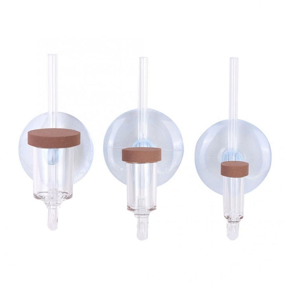 Mini acquario acrilico Pianta  - Planted Aquarium Equipment recensione e prezzo