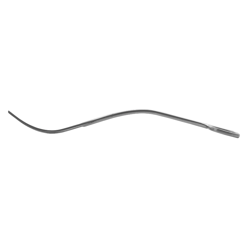 Strumento di pulizia delle for - Planted Aquarium Ada recensione e prezzo