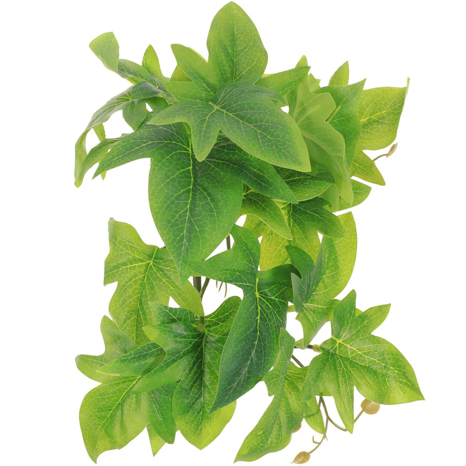 Piante Artificiali da Parete p - Aquarium Plant Vine recensione e prezzo