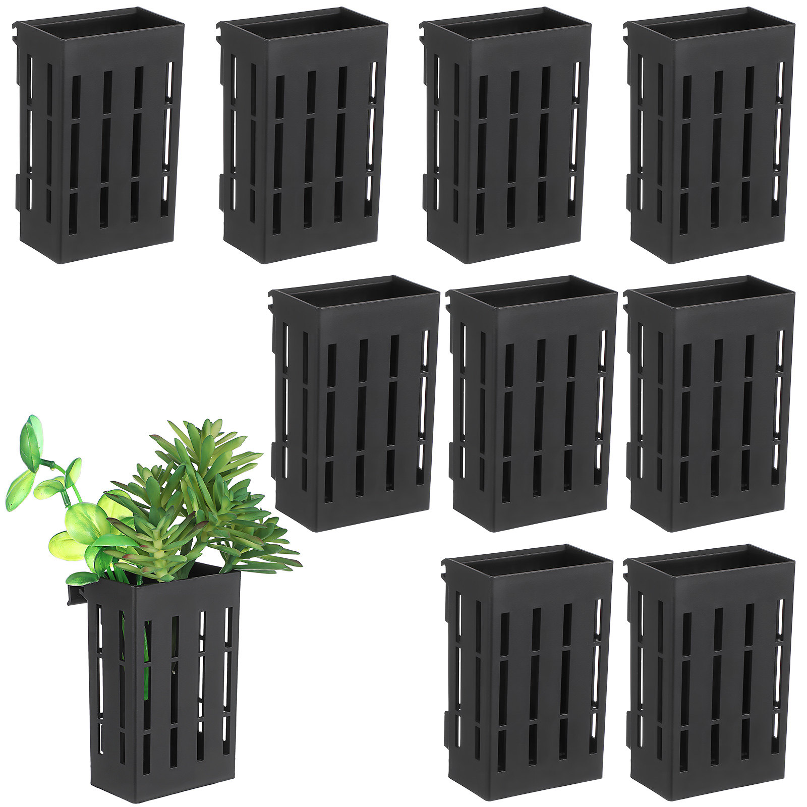10 Pezzi Cestini per Piante Ac - Planted Aquarium With Fish recensione e prezzo