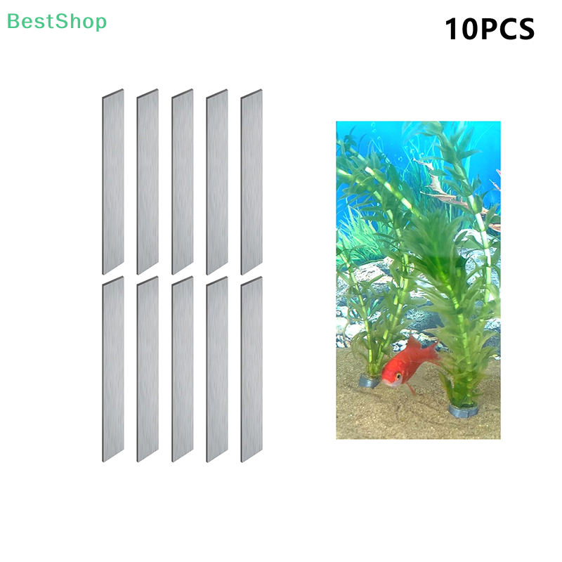 Pesi flessibili per piante d'a - Planted Aquarium With Fish recensione e prezzo