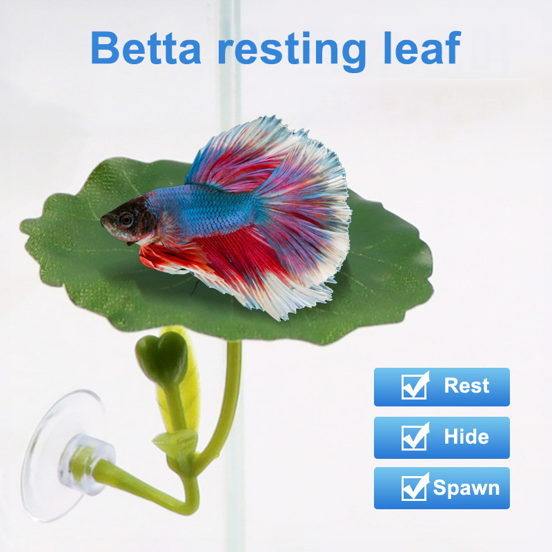 1 Pezzo Decorazione Antistress - Planted Aquarium For Betta recensione e prezzo